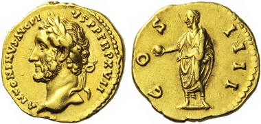 Lot 12883.