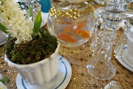 And, of course, the goldfish! Photo: KW.