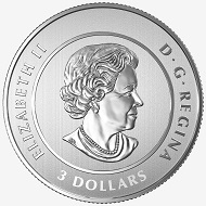 Canada / 3 Dollars / .9999 silver / 7.9 g / 27 mm / Design: Laurie McGaw (reverse) and Susanna Blunt (obverse) / Mintage: while supplies last.