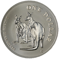 One dollar coin 1999.