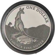 One dollar coin 2013.