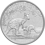 One dollar coin 2017.