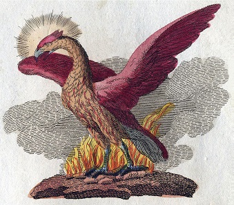 The phoenix rising from the ashes is an important symbol in Greek mythology. Source: WikiCommons