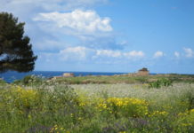 Sicily in full bloom Part 5