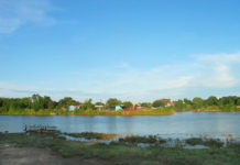 Treasure-diving between blowfish and stingray