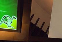 Mint Directors Conference 2010