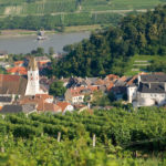 Wachau – Spitz – Sommer – Donau
Weingärten – Kirche – Architektur