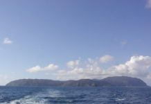 News from Stevenson’s Treasure Island?