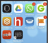 Harlan J. Berk, USA-Chicago