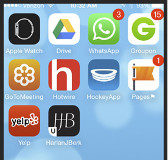 Harlan J. Berk, USA-Chicago