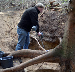 Gold coins from Nazi reichsbank found in Germany