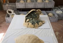 600kg of Roman coins found in amphorae