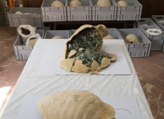 600kg of Roman coins found in amphorae