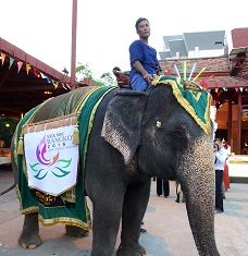 29th MDC in Thailand