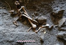 Archaeologists discover gold coins in Pompeii