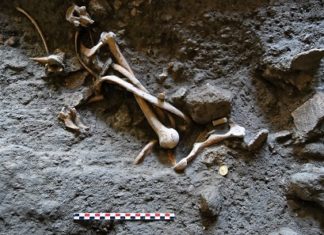 Archaeologists discover gold coins in Pompeii