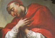 Charles Borromeo –The Saint of the Counter-Reformation, Part 1