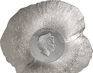 Remembrance Poppy
