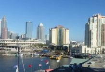 FUN in Florida – The Coin Show Experience