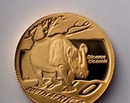 SAGCE’s golden quest to stamp out rhino poaching