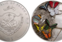 Final highlight of the “Exotic Butterflies” series