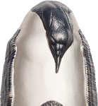 Emperor Penguin