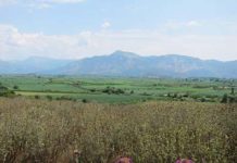 Numismatic diary of a journey throughout Greece – Part 2