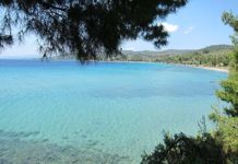 Numismatic diary of a journey throughout Greece – Part 8