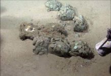 “Black Swan” Treasure from Sunken Ship Still Contested