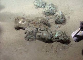 “Black Swan” Treasure from Sunken Ship Still Contested