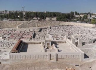 The coin in the fish’s mouth