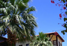 Diary of a numismatist travelling Turkey (2009) – Part 1