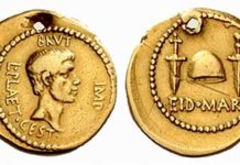 Brutus at the British Museum