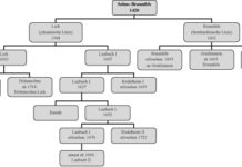 The Princes of Solms