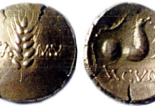 Cunobelin counterfeits