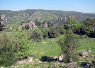 Springtime in Turkey – Part 3