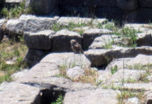 Springtime in Turkey – Part 5