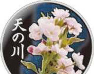 Japan celebrates Cherry Blossom