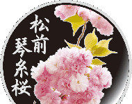 Japan Mint: New year, new coin sets