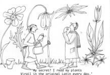 Our Cartoon: Franklin’s World