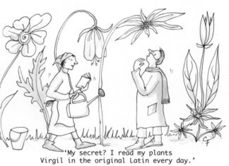 Our Cartoon: Franklin’s World