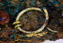 Solid gold Torc in Celtic coin hoard found