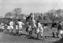 An oval and dome shaped coin for the 2015 Rugby World Cup