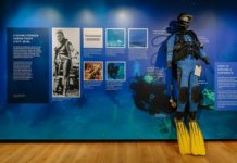 Oxford exhibits Treasures from the Sicilian Seas