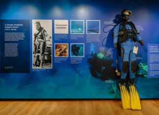 Oxford exhibits Treasures from the Sicilian Seas