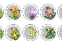 Coin set captures beauty of Singapore’s Orchids