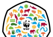 Penguins, Parrots and Pandas – New 50p celebrates fifty years of WWF