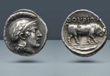 Shanna Schmidt Numismatics Inc.