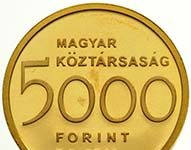 The engineer and the politician