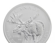 Canada’s Majestic Moose on Silver Bullion Coin